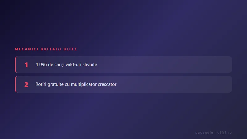 Mecanici Buffalo Blitz